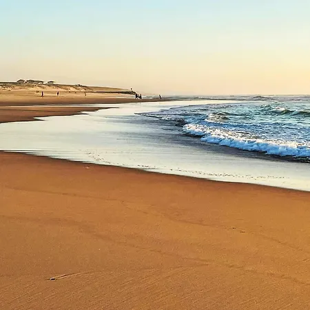 Les Goelands-2 By Interhome * Mimizan-Plage